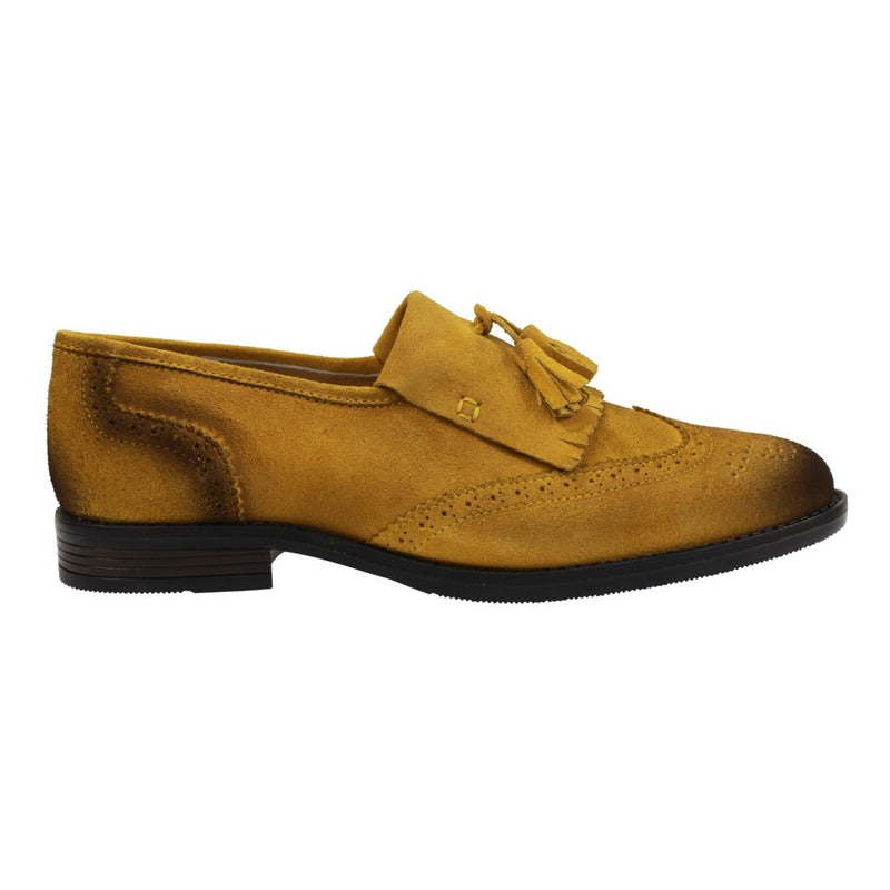 Calzado Caballero Gamuza Claudio Rocco Gb171